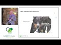 Session Four   How to Survive an FDA Inspection