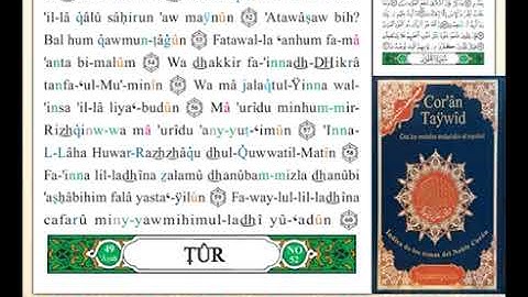 ختمة من مصحف التجويد باللغة الإسبانية الصفحة رقم 523