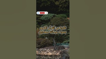 تلاوة تريح القلب وتغسل الهموم بصوت يلامس الإحساس 💚#قرآن #راحة_القلب