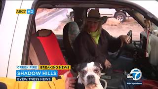 Animals being evacuated from Creek Fire | ABC7