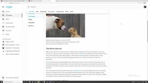 深度卷积神经网络 猫狗大战 VGG16 PlaidML Keras GPU加速训练