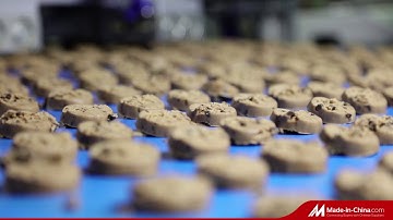 SINOBAKE Chocolate Chips Cookies Production Line #cookies #foodmachinery #biscuits