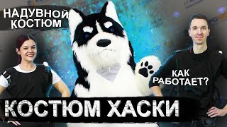 Надувной костюм ХАСКИ. Dog inflatable mascot. Maskottchen.