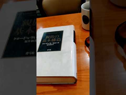 レヴィストロース