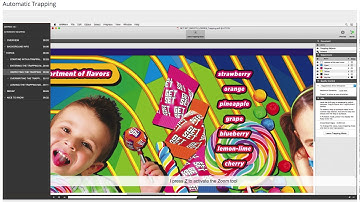 Artpro+ AUTOMATIC Trapping Part - 2