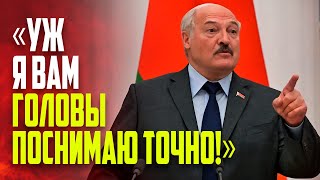 Лукашенко пообещал «поснимать головы» за падеж скота