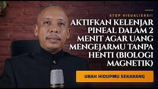 STOP VISUALISASI! Aktifkan Kelenjar Pineal Dalam 2 Menit Agar Uang Mengejar Tanpa Henti.
