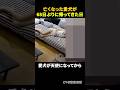 愛犬が会いにきてくれた日