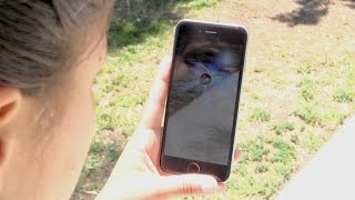 A crash course in Pokemon Go