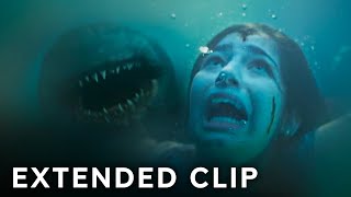 Shark Attack Full Scene