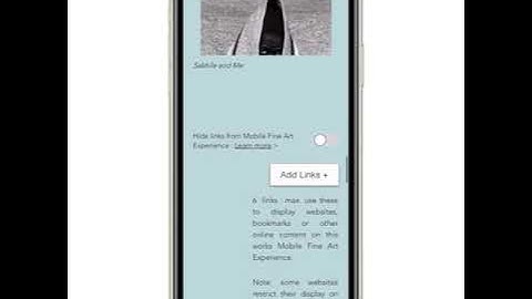 Adding Websites and Links to Your Fine Art