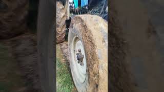 tractor king off king 44 big tractor