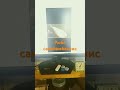 #music  сакабамбаспис
