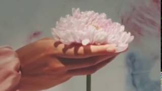 Vansire - From the Subway Train