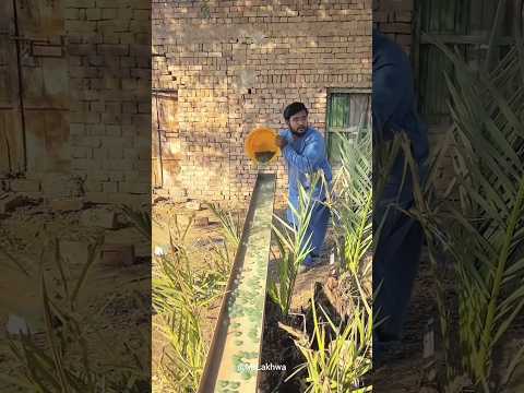 ص و ت و اح د أ و ق ف و ق وع ال ح اد ث