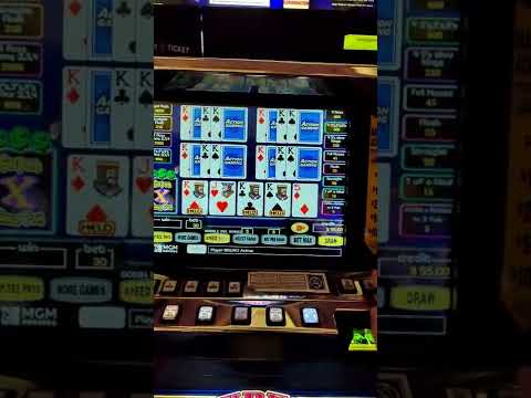 BDMBet Casino No Deposit Bonus 50 Free Spins | Exclusive Promo Code | Bonusfanatic.com