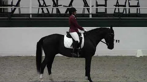 Debbie Erwin's Smooth Operator RHR, qualifying for...