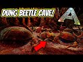 HOW TO FIND THE DUNG BEETLE CAVE ON FJORDUR TONS OF BEETLES!! || Ark Fjordur!!  - YouTube