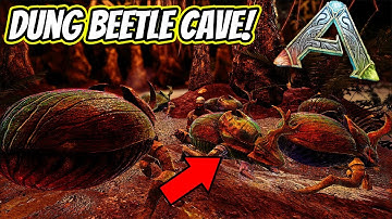 HOW TO FIND THE DUNG BEETLE CAVE ON FJORDUR TONS OF BEETLES!! || Ark Fjordur!!