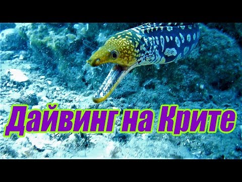 Video: Апрелдеги Крит сыяктуу