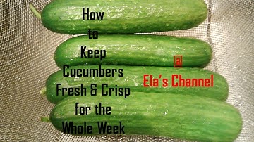 How to Keep Cucumber Fresh & Crisp for the Whole Week @ Ela