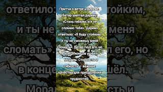 Притча о ветре и дереве #притча #мудрость_великих_учителей