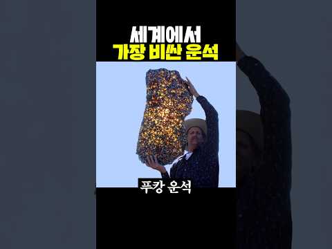 세계에서 가장 비싼 <strong>운석</strong>