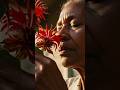 Bee Balm: Where bees sting, the earth forgives. Fire out, peace restored in seconds. #shorts