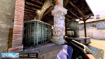 CS:GO - NiP vs VeryGames: A Ninja Perspective