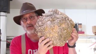 Download Coring: Two Burl Bowls: Woodturning With Sam Angelo Video MP3 Coring: Two Burl Bowls: Woodturning With Sam Angelo