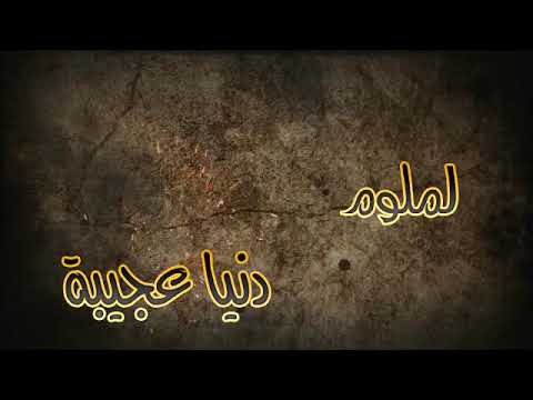 لملوم دنيا عجيبة