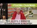 Голова садовая - Что делать с новыми луковичными в октябре