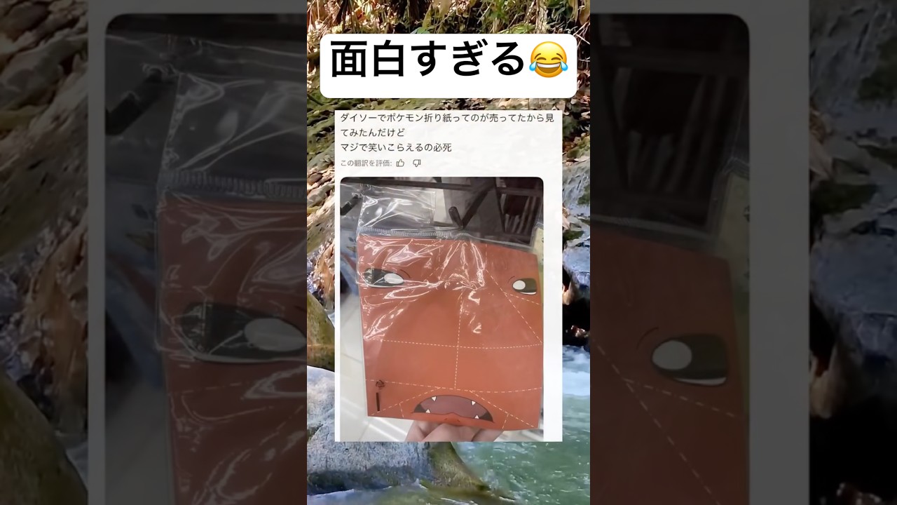 誰かわかる？ #shorts #おもしろ #ポケモン #ダイソー #ネタ