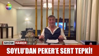 Soylu'dan Sedat Peker'e sert tepki! Resimi