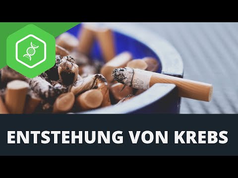 Krebs - Entstehung