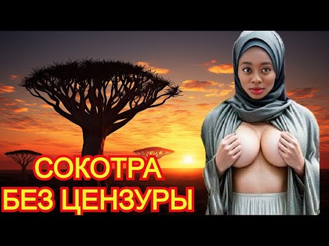 Самый инопланетный остров Земли - Сокотра. Жизнь на Йеменском оазисе вне времени.