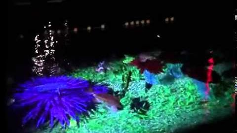 3D Projection Mapping in Water