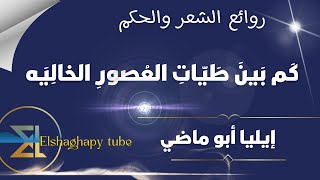 من روائع الشعر والحكم || قصيدة كم بين طيات العصور الخاليه || شعر إيليا أبو ماضي #شعر ابيات شعر حكمه