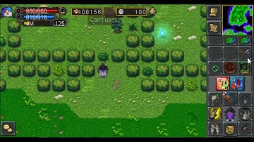 Take portal Royal Pool Fabulara [TibiaME]