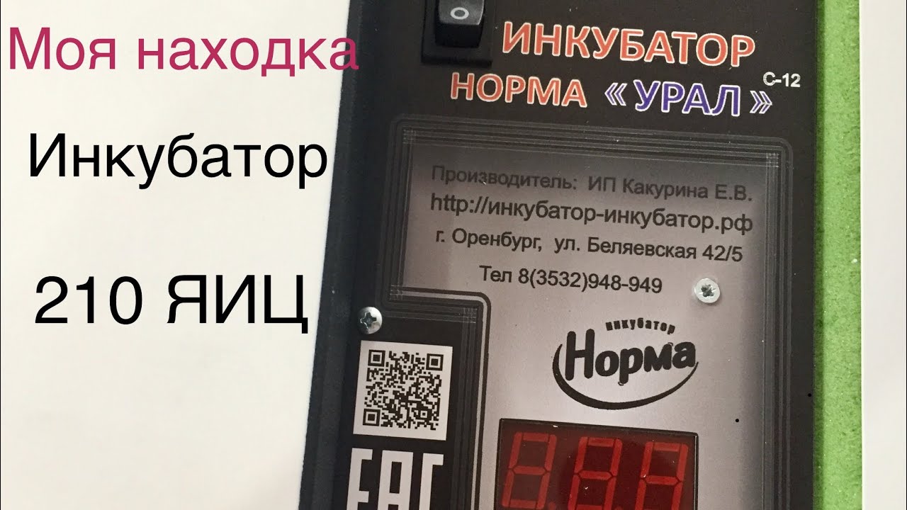 Блиц норма 72 инструкция. Инкубатор Урал на 200. Инкубатор Урал на 200 яиц. Инкубатор норма Урал 200. Норма Урал инкубатор на 210.