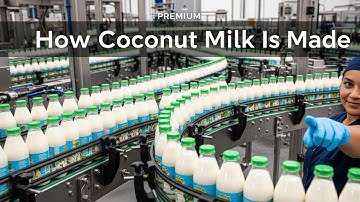 Inside a Modern Coconut Factory: From Hard Shell to Creamy Milk! (Full Process Explained)
