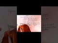 NEET Concepts #neetbiology