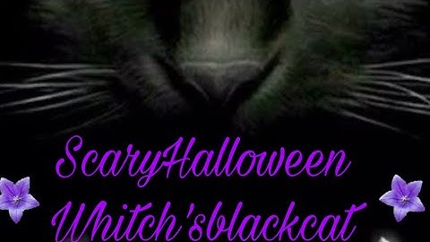 Scooby-Doo Mystery Cases: Part 1 game ❤️