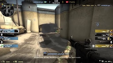 Fnatic vs Lemondogs  - RAW Match Highlight - DreamHack Summer 2013 CS:GO