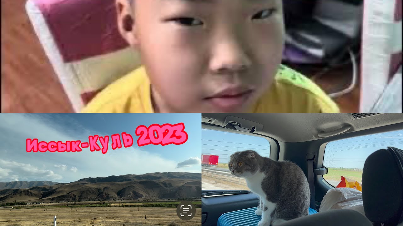 Едем на Иссык Куль/ В поисках жилья, заселение в «Бали», ужин/ - YouTube