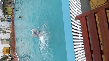 Video tập bơii tại cổng tỉnh quảng ninh gate