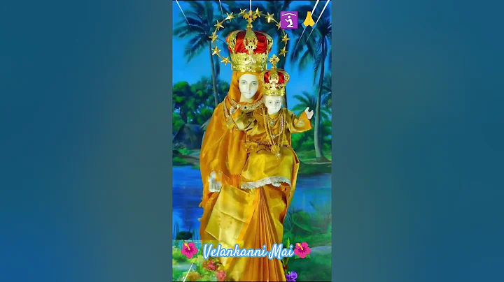 Miracle of Velankanni Matha || Velankanni Shrine #velankanni