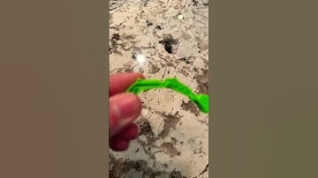 Blokees galaxy shining