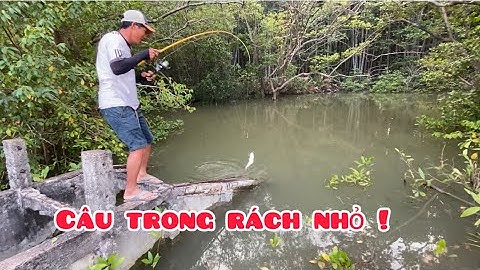 Câu cá giải trí ! Kiếm bữa cơm chiều tuy ít nhưng toàn là cá ngon ! | Như Phạm cuộc sống Cần Giờ |