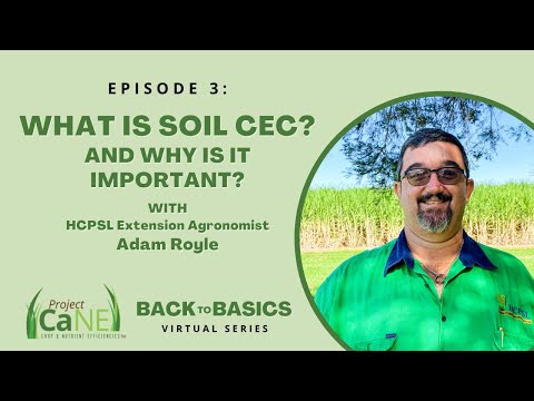 Back to Basics - Episode 3: What is soil CEC? And why is it important?